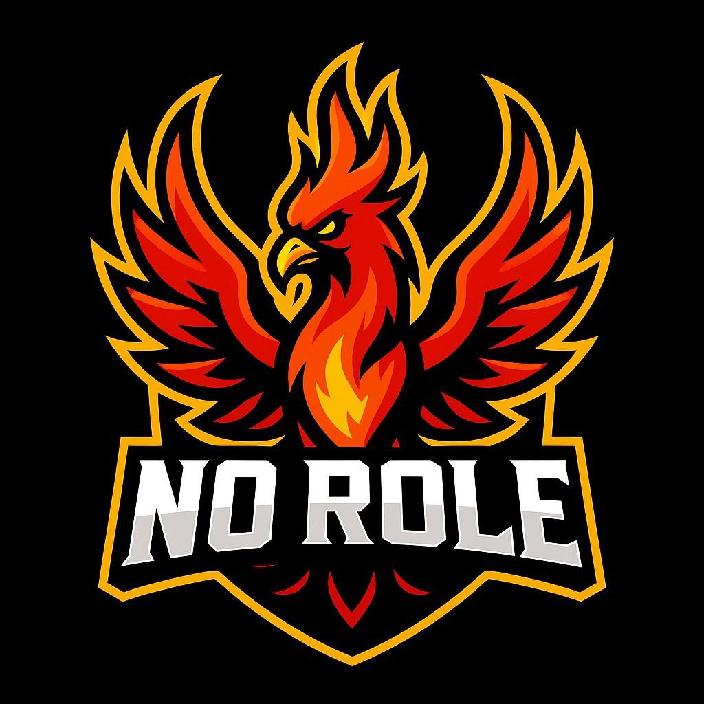 No Role logo